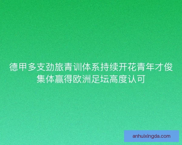 德甲多支劲旅青训体系持续开花青年才俊集体赢得欧洲足坛高度认可